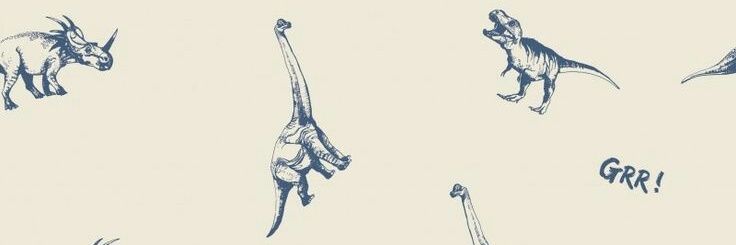fafafascinada's profile banner image