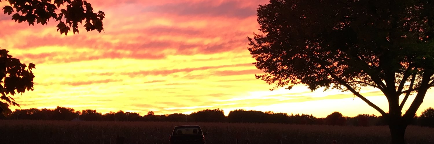 dee_C_wulf's profile banner image