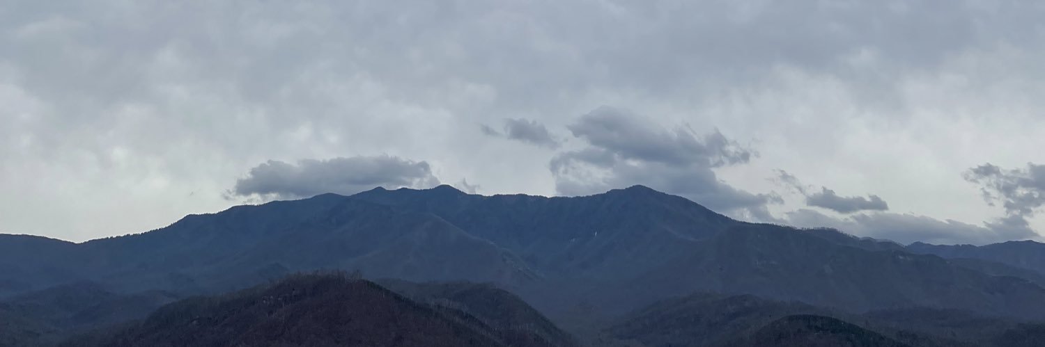 xx_angii's profile banner image
