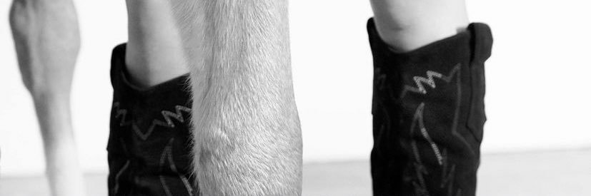 ClelieJj's profile banner image