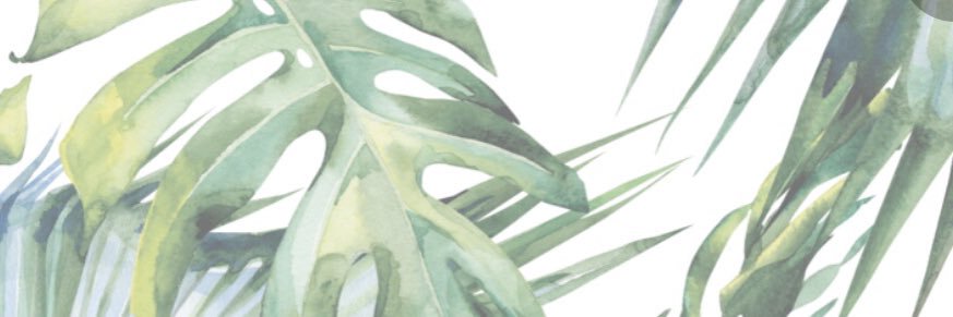 mfsierraa's profile banner image