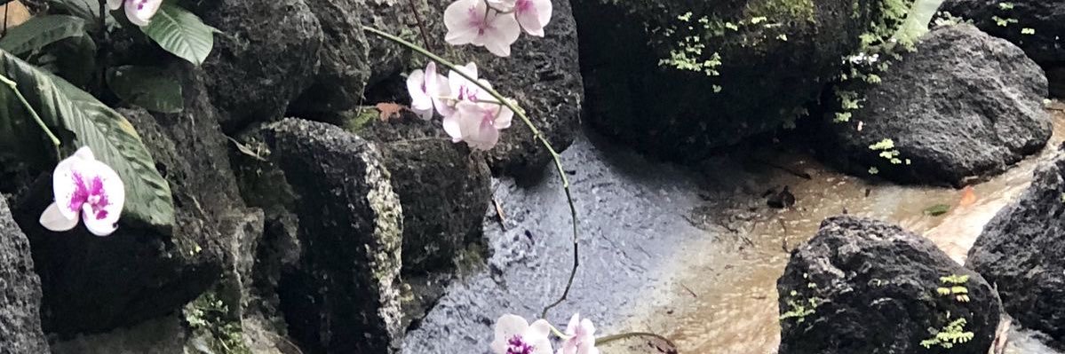 is celebrating marcelodie’s anniversary! 🤍 banner