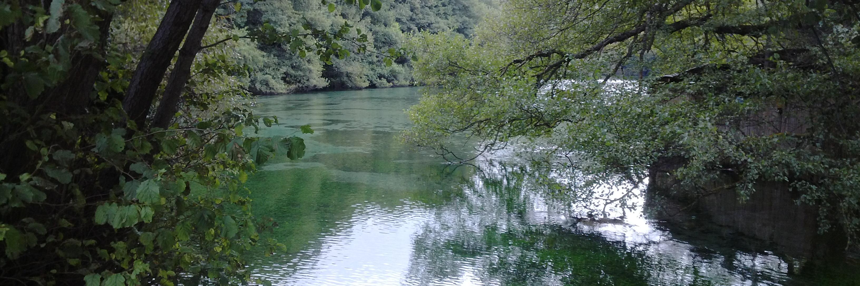 Yıldırım Ağanoğlu banner