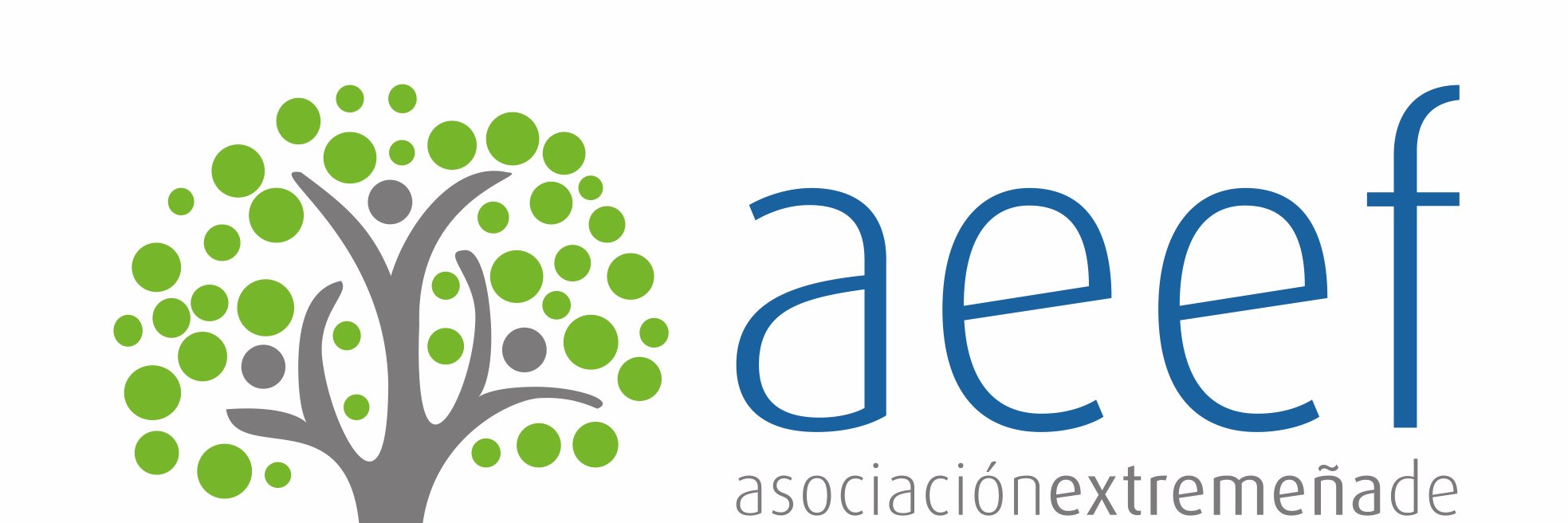 A.E.Empresa Familiar banner