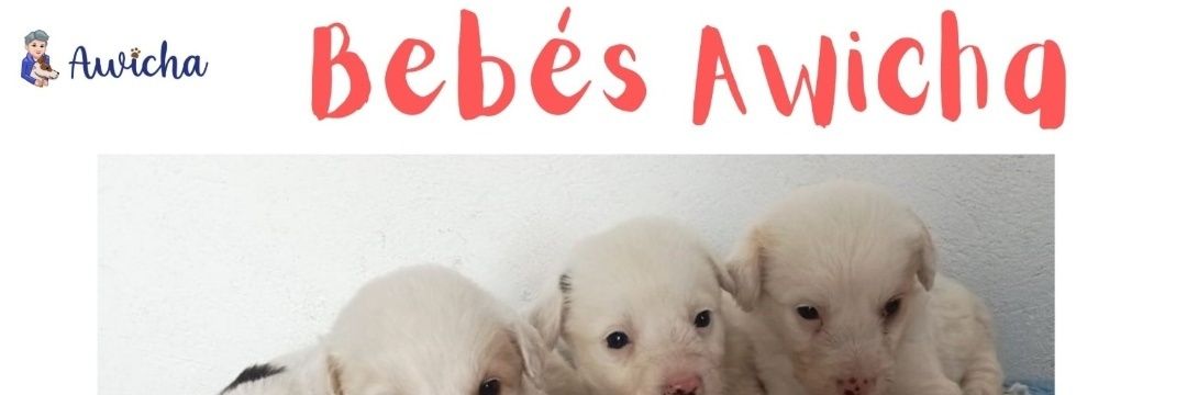 Luartes4's profile banner image