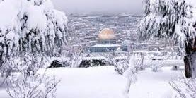 Fhjj2828's profile banner image