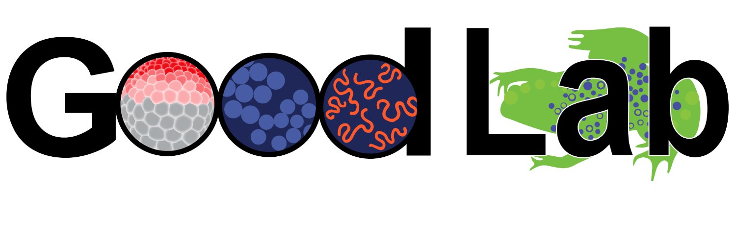 Matthew C. Good banner