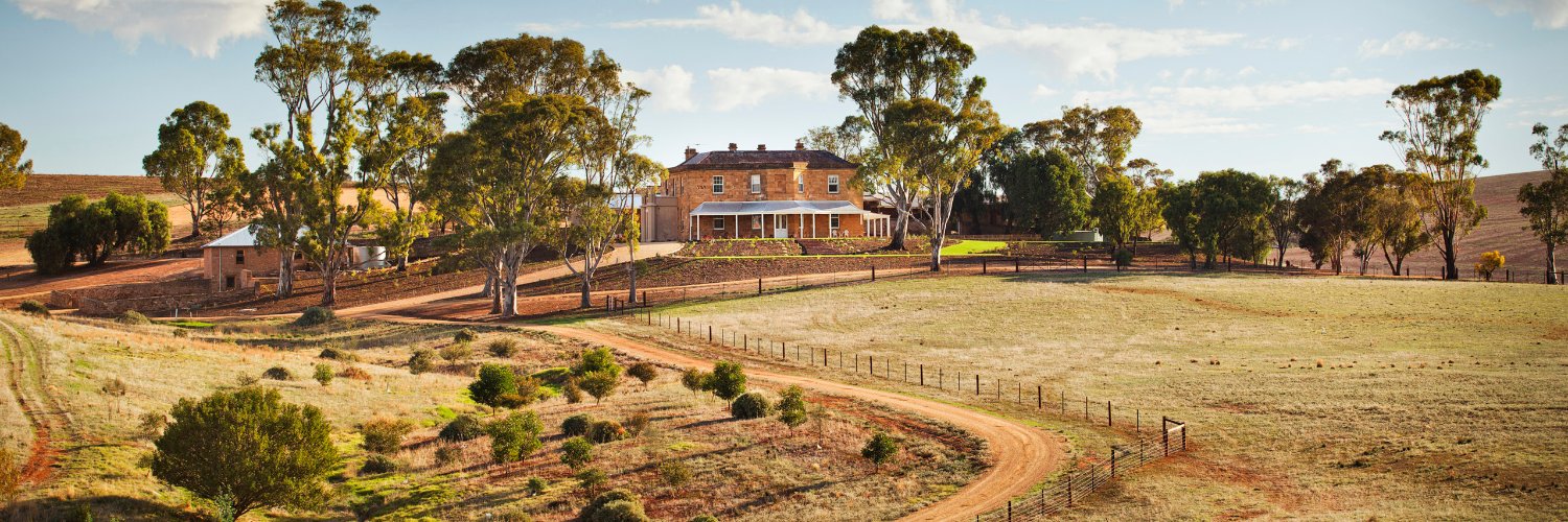 Skipper Janský banner