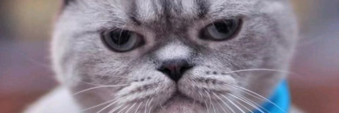 deborad16's profile banner image