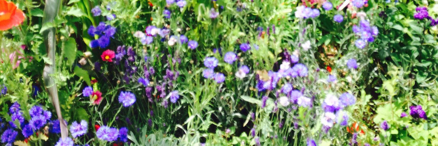 juliagosling's profile banner image