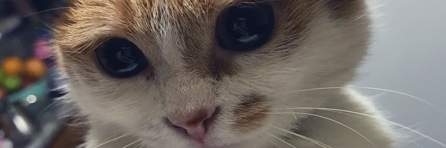 bberna34's profile banner image