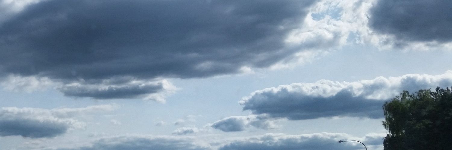 Dale Smith banner