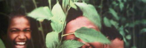 Berriel banner