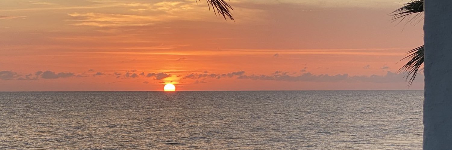 aroa2311's profile banner image