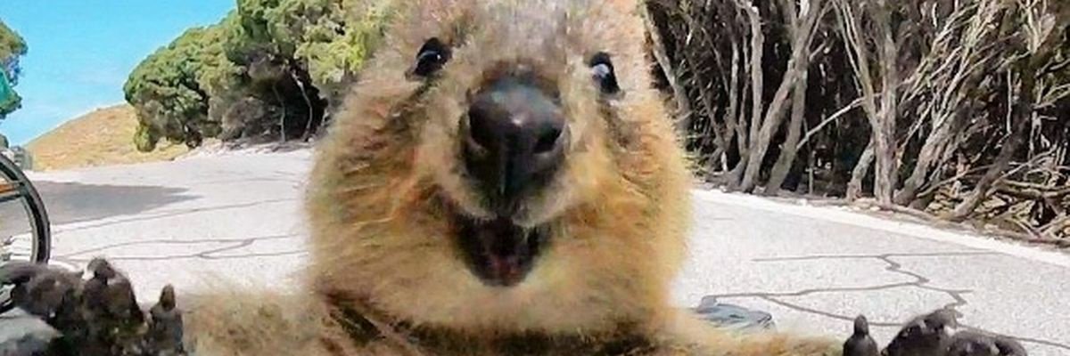 _krissssta's profile banner image