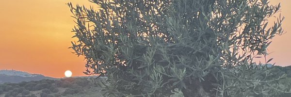 evacarneiro Profile Banner