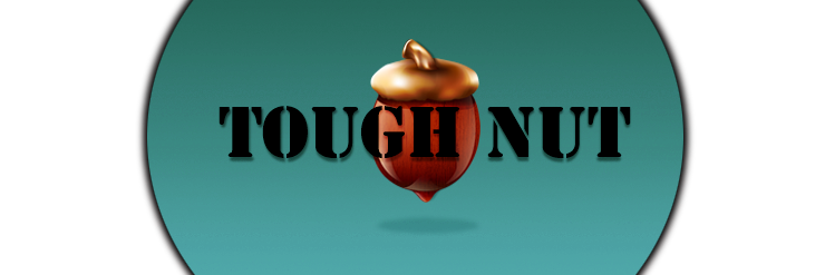 toughasnut's profile banner image