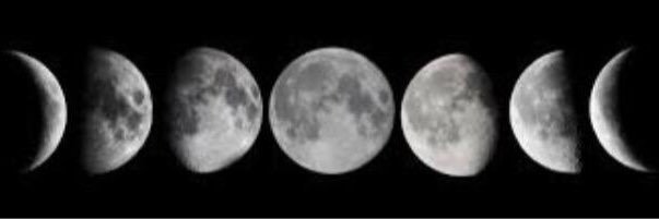 tomlinsonsharp's profile banner image