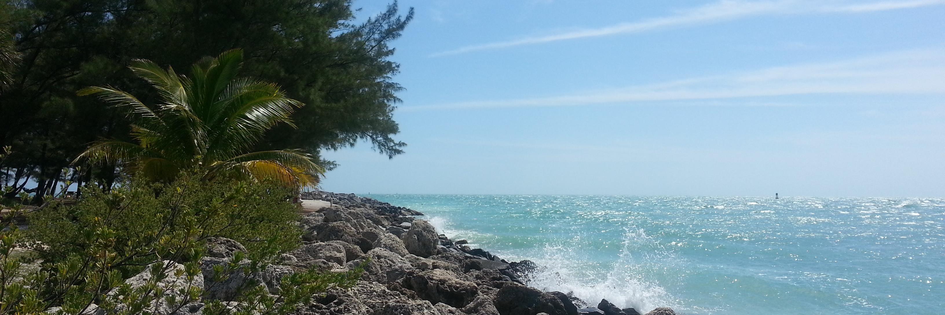 Blake Anderson banner