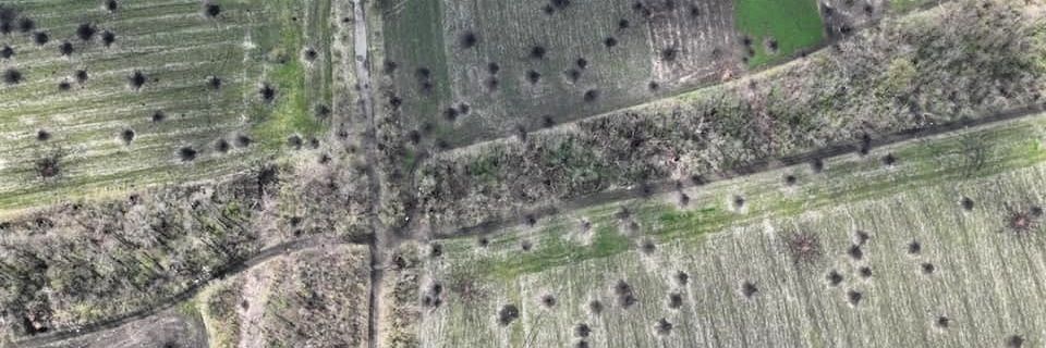 _Піон-Очманілий_ banner