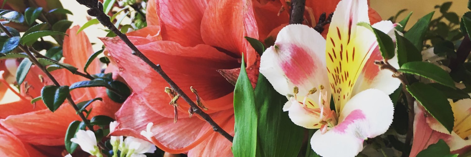 evinelizabeth's profile banner image