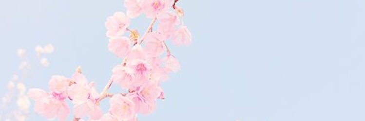 Merinelscx's profile banner image