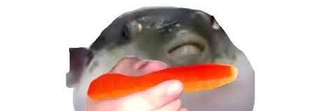 mathslnunes's profile banner image