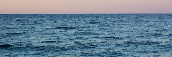 jaschagala Profile Banner