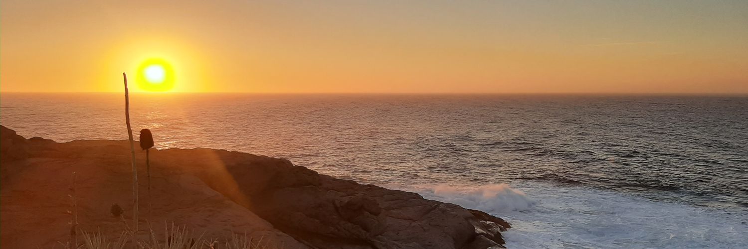 Macapellicer's profile banner image