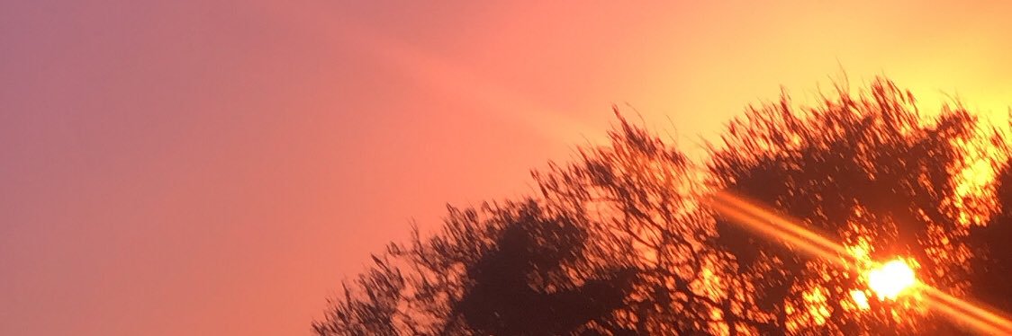 suixlorax's profile banner image