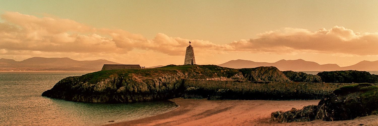 Adam TWITmore banner