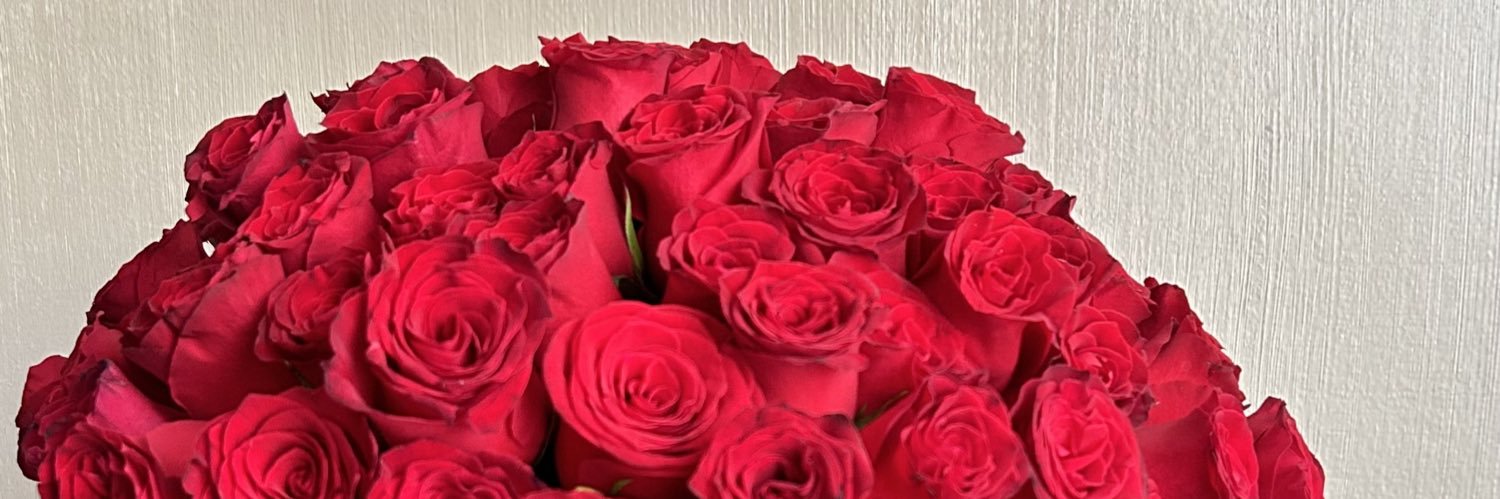 _NourMN's profile banner image