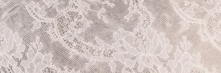 belbeaaola's profile banner image