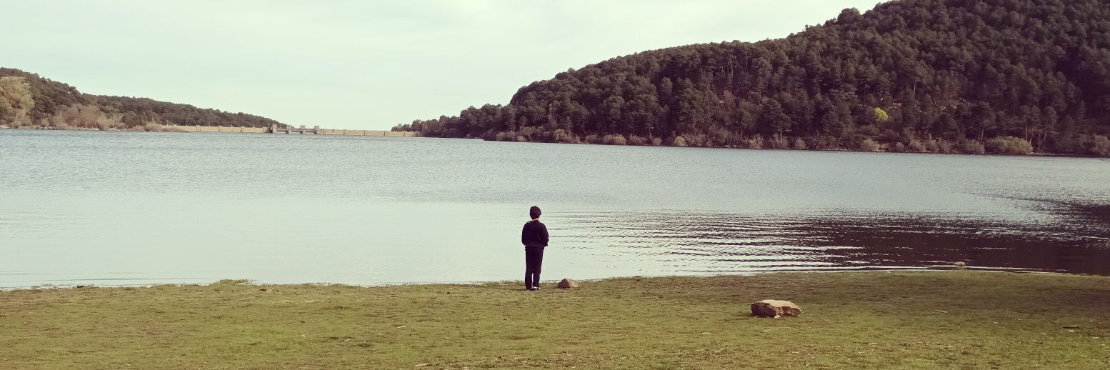 seligmannad's profile banner image