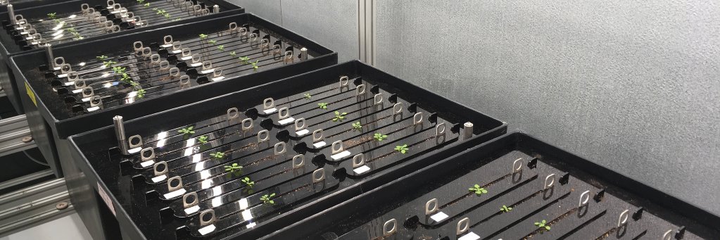 Therese LaRue banner