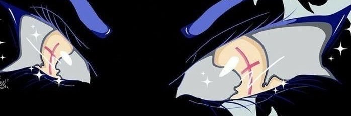 hiddenvicex's profile banner image