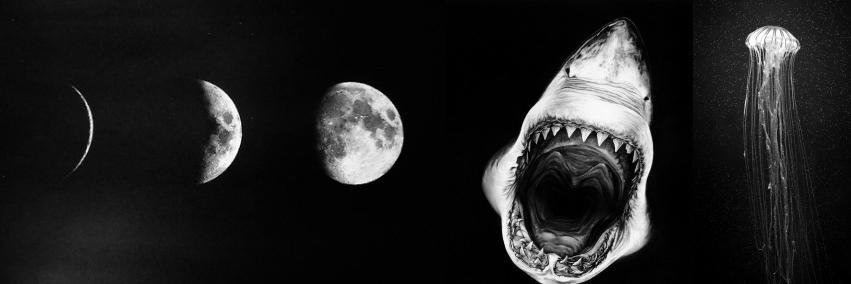 breyonce__'s profile banner image