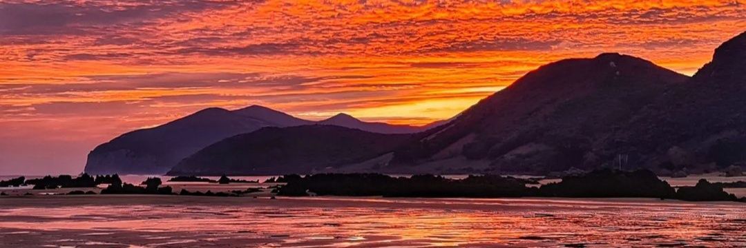 aurorita boreal banner