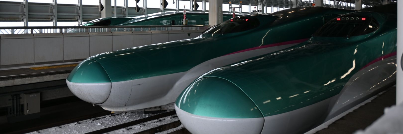 sakuractamp's profile banner image