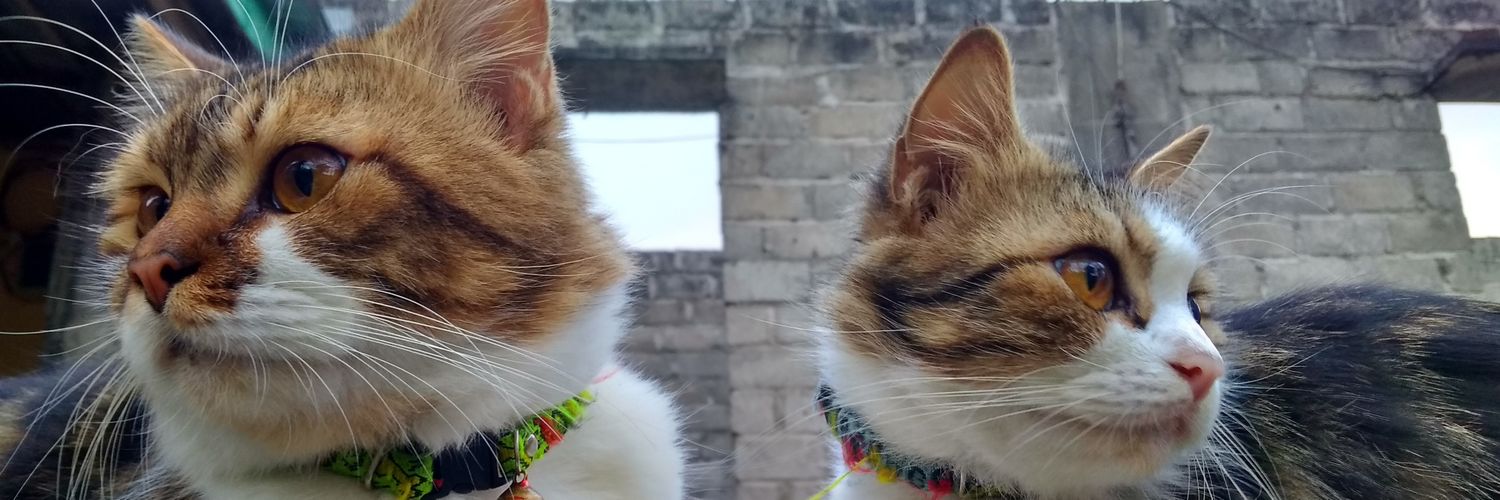 desiekaa_'s profile banner image
