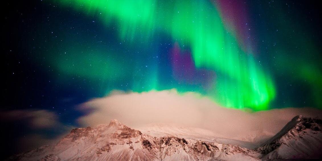 Robert Chisholm banner