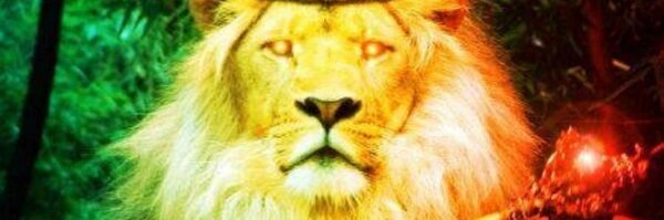 dracer420 Profile Banner