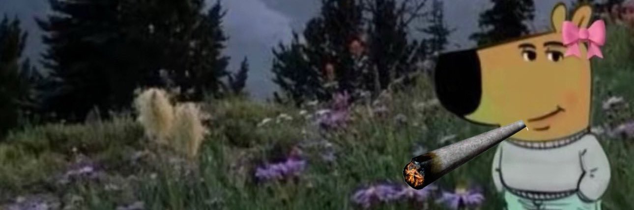 potted_grl's profile banner image