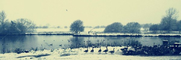 lwatsonRD Profile Banner