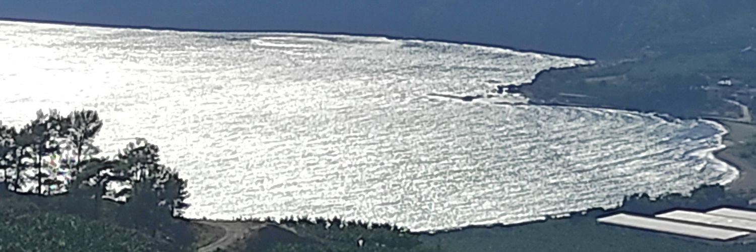 birincitwitt's profile banner image