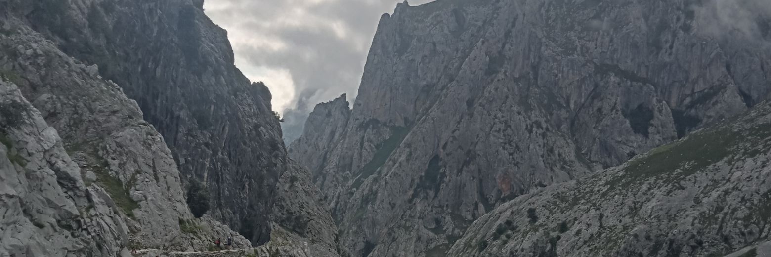 Lallysonna's profile banner image