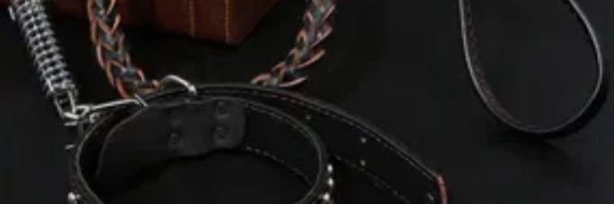 jahanshahn's profile banner image