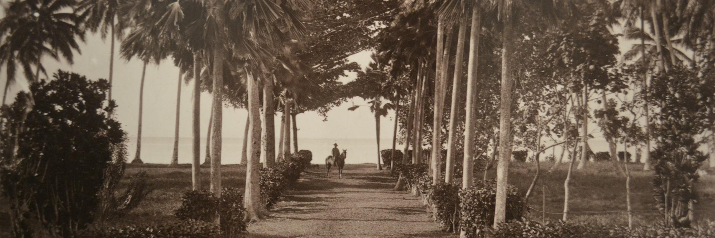 Sean Phillips banner