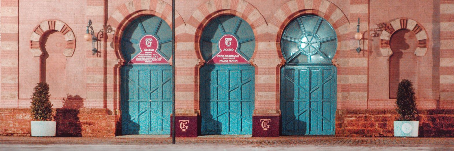 Daniello Pradotti banner