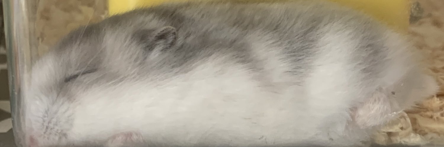 mimn__62's profile banner image